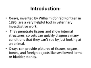 Introduction:
• X-rays, invented by Wilhelm Conrad Rontgen in
1895, are a very helpful tool in veterinary
investigative work.
• They penetrate tissues and show internal
structures, so vets can quickly diagnose many
conditions that they can't see by just looking at
an animal.
• X-rays can provide pictures of tissues, organs,
bones, and foreign objects like swallowed items
or bladder stones.
 