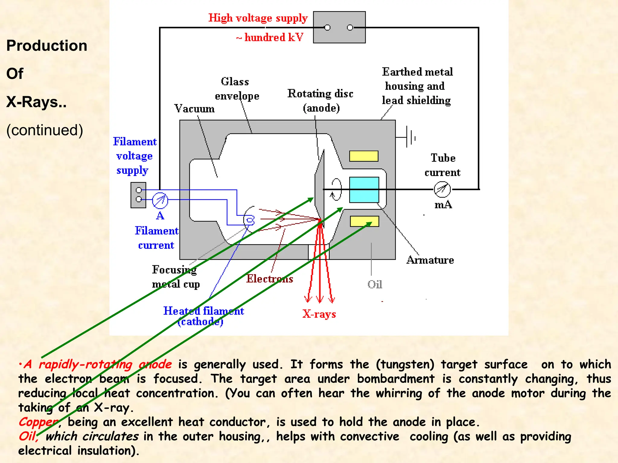 •A rapidly-rotating anode is generally used. It forms the (tungsten) target surface on to which
the electron beam is focused. The target area under bombardment is constantly changing, thus
reducing local heat concentration. (You can often hear the whirring of the anode motor during the
taking of an X-ray.
Copper, being an excellent heat conductor, is used to hold the anode in place.
Oil, which circulates in the outer housing,, helps with convective cooling (as well as providing
electrical insulation).
Production
Of
X-Rays..
(continued)
 