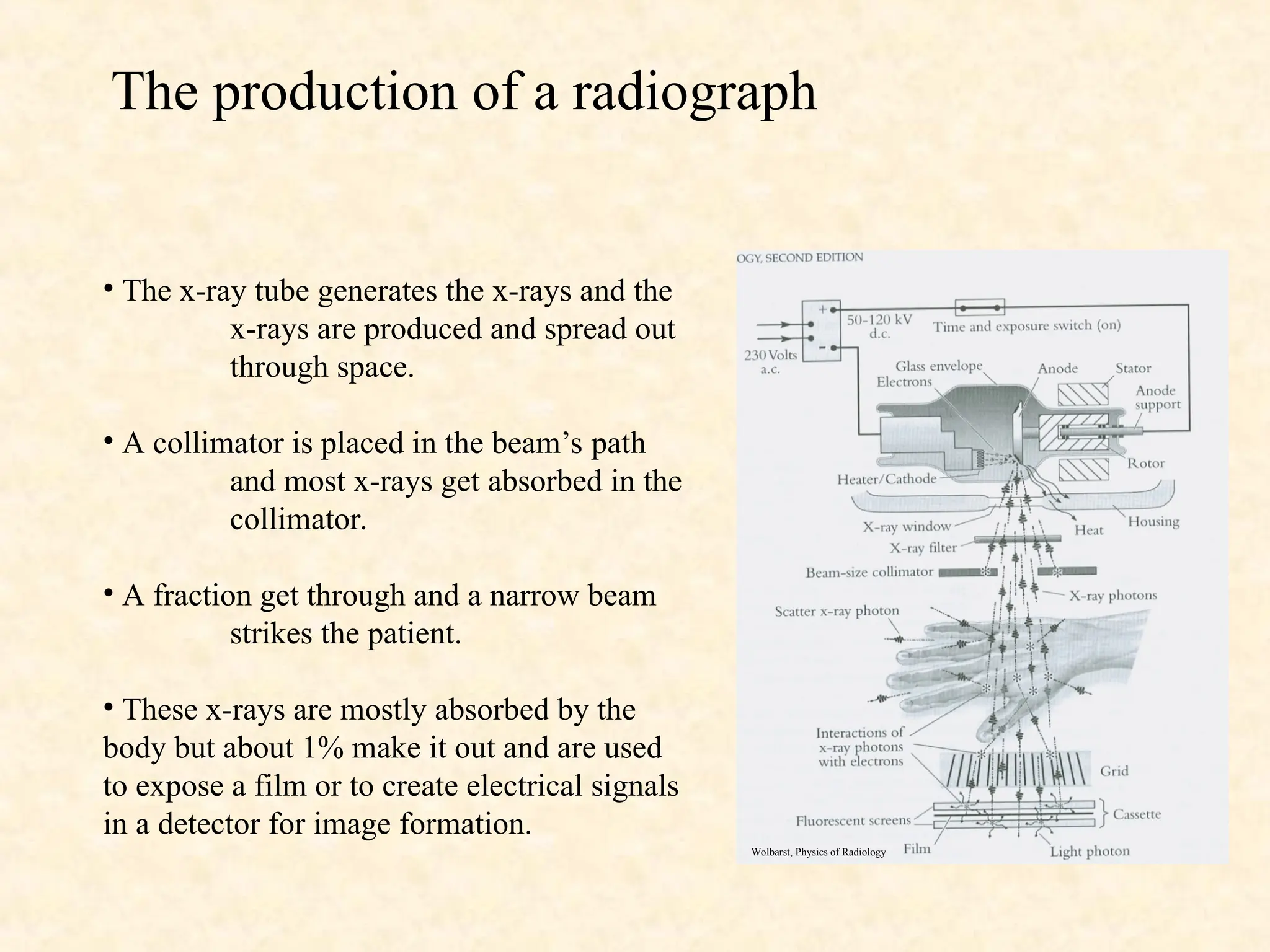 The production of a radiograph
• The x-ray tube generates the x-rays and the
x-rays are produced and spread out
through space.
• A collimator is placed in the beam’s path
and most x-rays get absorbed in the
collimator.
• A fraction get through and a narrow beam
strikes the patient.
• These x-rays are mostly absorbed by the
body but about 1% make it out and are used
to expose a film or to create electrical signals
in a detector for image formation.
Wolbarst, Physics of Radiology
 