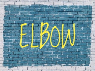 X-Rays with well labelled parts