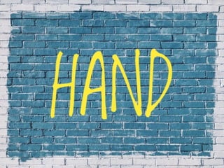 X-Rays with well labelled parts