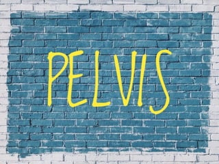 X-Rays with well labelled parts