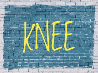 X-Rays with well labelled parts