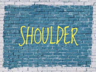 X-Rays with well labelled parts