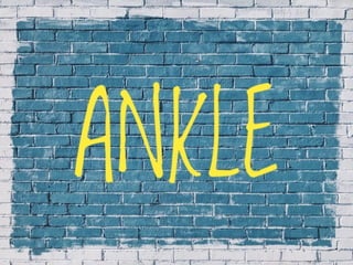 X-Rays with well labelled parts