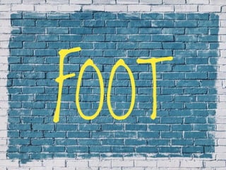 X-Rays with well labelled parts