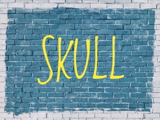 X-Rays with well labelled parts