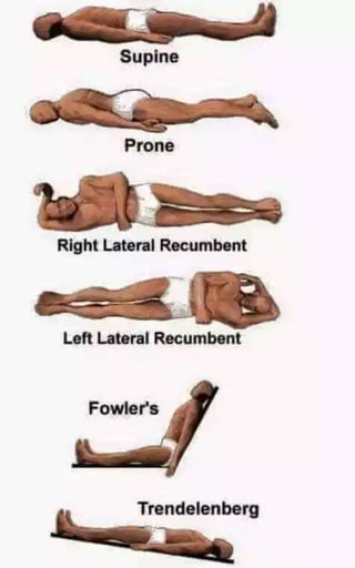 X-Rays with well labelled parts
