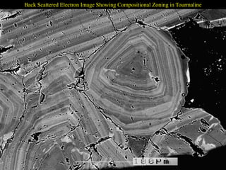Back Scattered Electron Image Showing Compositional Zoning in Tourmaline
 