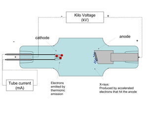 anode cathode Electrons  emitted by  thermionic emission X-rays: Produced by accelerated  electrons that hit the anode + - Kilo Voltage (kV) + - Tube current (mA) 