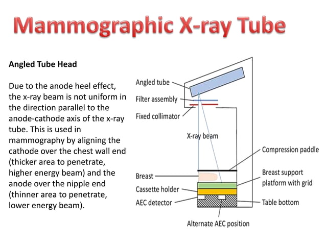X ray tube, cassette and screens | PPTX