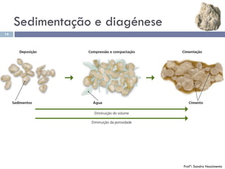 14
Sedimentação e diagénese
Profª: Sandra Nascimento
 