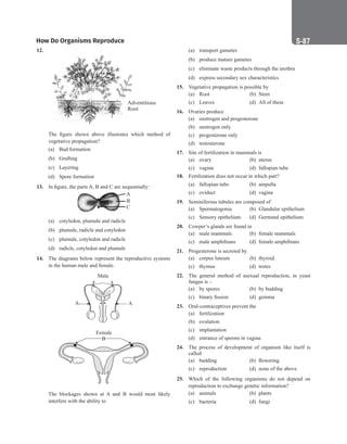 How Do Organisms Reproduce S-87
(a) transport gametes
(b) produce mature gametes
(c) eliminate waste products through the urethra
(d) express secondary sex characteristics
15. Vegetative propagation is possible by
(a) Root		 (b) Stem
(c) Leaves (d) All of these
16. Ovaries produce
(a) oestrogen and progesterone
(b) oestrogen only
(c) progesterone only
(d) testosterone
17. Site of fertilization in mammals is
(a) ovary (b) uterus
(c) vagina (d) fallopian tube
18. Fertilization does not occur in which part?
(a) fallopian tube (b) ampulla
(c) oviduct (d) vagina
19. Seminiferous tubules are composed of
(a) Spermatogonia (b) Glandular epithelium
(c) Sensory epithelium (d) Germinal epithelium
20. Cowper’s glands are found in
(a) male mammals (b) female mammals
(c) male amphibians (d) female amphibians
21. Progesterone is secreted by
(a) corpus luteum (b) thyroid
(c) thymus (d) testes
22. The general method of asexual reproduction, in yeast
fungus is –
(a) by spores (b) by budding
(c) binary fission (d) gemma
23. Oral-contraceptives prevent the
(a) fertilization
(b) ovulation
(c) implantation
(d) entrance of sperms in vagina
24. The process of development of organism like itself is
called
(a) budding (b) flowering
(c) reproduction (d) none of the above
25. Which of the following organisms do not depend on
reproduction to exchange genetic information?
(a) animals (b) plants
(c) bacteria (d) fungi
12.
The figure shown above illustrates which method of
vegetative propagation?
(a) Bud formation
(b) Grafting
(c) Layering
(d) Spore formation
13. In figure, the parts A, B and C are sequentially:
(a) cotyledon, plumule and radicle
(b) plumule, radicle and cotyledon
(c) plumule, cotyledon and radicle
(d) radicle, cotyledon and plumule
14. The diagrams below represent the reproductive systems
in the human male and female.
The blockages shown at A and B would most likely
interfere with the ability to
 