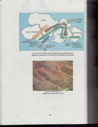 X science !st grading