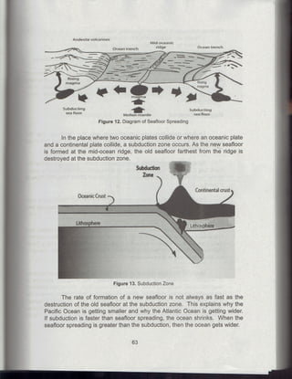 X science !st grading