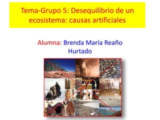 Tema-Grupo 5: Desequilibrio de un
ecosistema: causas artificiales
Alumna: Brenda María Reaño
Hurtado
 