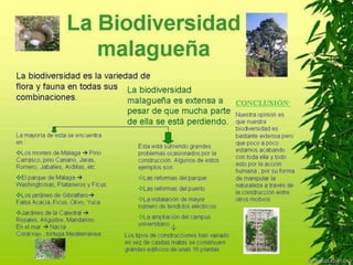 ¿El agua desalada es más cara o más barata?