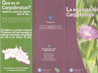 ¿Cuánto agua necesita un campo de golf?