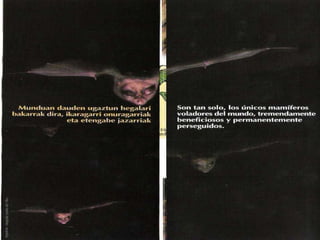 ¿Qué pasa con los espacios naturales en estas zonas?