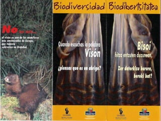 ¿Qué pasa con la vida cotidiana de las personas que permanentemente residen en la zona?