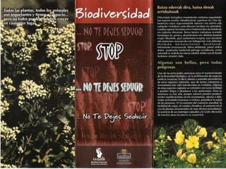 ¿Listado de personas que en algún momento podrían obtener algún beneficio personal?Todo suele empezar con la recalificación del suelo. Primeramente se adquieren terrenos bajo la calificación de “no urbanizable”, calificación que depende siempre del consistorio local donde se ubiquen los terrenos. Existen excepciones como en la ciudad alicantina de Cox donde la Generalitat ha retirado y asumido sus competencias urbanísticas o Marbella donde todas las competencias consistoriales son administradas por una junta nombrada por la Diputación de Málaga.Posteriormente entra en juego el juego político por el que ha adquirido el terreno, que consigue que se recalifique y pase a ser “urbanizable”. Es hora de vender por hasta diez veces más del valor por el que se adquirió. Los beneficios son millonarios. El riesgo mínimo. Todo legal, siempre que no haya sobornos.En otros casos existe una perfecta simbiosis entre una, o varias, administraciones y diversos empresarios. Es el caso de la capital alicantina del turismo, Benidorm. El ex presidente de la Generalitat Valenciana, Eduardo Zaplana (también ex alcalde de Benidorm) creo hace unos años lo que se dio a conocer como “premio hotelero” por el que varios hoteles, en construcción, podían superar la volumetría permitida a cambio de compensaciones, básicamente en terrenos, al Ayuntamiento. Entre otros, el hotel Victoria construyó dos plantas de más y el hotel Bali (el más alto de Europa en aquel momento) tenía informes negativos procedentes del consistorio benidormense. El alcalde del momento, Vicente Pérez Devesa(PP), autorizó las obras sin llegar a exigir compensación alguna. El portavoz  del gobierno municipal en aquel momento, el hoy primer teniente de alcalde, Salvador Moll (PP) declaró que “se estudiarían las compensaciones”. Han pasado cinco años y aun no se han producido. Los hoteleros manifestaron que todo se produjo “en la más absoluta legalidad” y que ello lo prueba que nadie les haya llevado ante los tribunales.España posee un tercio de los billetes de 500 euros de la Unión Europea, dato muy significativo para medir la circulación de dinero negro. La provincia de Alicante, dentro del territorio nacional, encabeza la lista de número de estos billetes, conocidos también como los “BinLaden”.