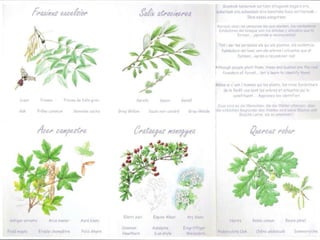 Ley de Costas (Ley 22/1988, de 28 de julio, de Costas ):La actuación administrativa sobre el dominio público marítimo-terrestre perseguirá los siguientes fines:Determinar el dominio público marítimo-terrestre y asegurar su integridad y adecuada conservación, adoptando, en su caso, las medidas de protección y restauración necesarias. 