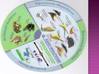 Garantizar el uso público del mar, de su ribera y del resto del dominio público marítimo-terrestre, sin más excepciones que las derivadas de razones de interés público debidamente justificadas. 