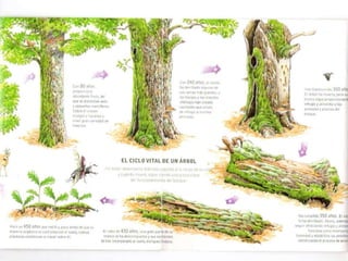 Regular la utilización racional de estos bienes en términos acordes con su naturaleza, sus fines y con el respeto al paisaje, al medio ambiente y al patrimonio histórico. 