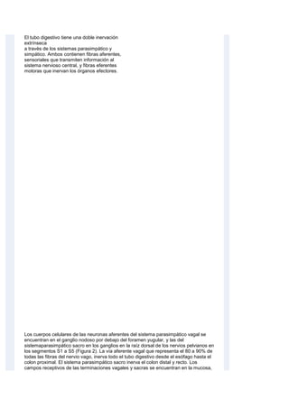 El tubo digestivo tiene una doble inervación
extrínseca
a través de los sistemas parasimpático y
simpático. Ambos contienen fibras aferentes,
sensoriales que transmiten información al
sistema nervioso central, y fibras eferentes
motoras que inervan los órganos efectores.
Los cuerpos celulares de las neuronas aferentes del sistema parasimpático vagal se
encuentran en el ganglio nodoso por debajo del foramen yugular, y las del
sistemaparasimpático sacro en los ganglios en la raíz dorsal de los nervios pelvianos en
los segmentos S1 a S5 (Figura 2). La vía aferente vagal que representa el 80 a 90% de
todas las fibras del nervio vago, inerva todo el tubo digestivo desde el esófago hasta el
colon proximal. El sistema parasimpático sacro inerva el colon distal y recto. Los
campos receptivos de las terminaciones vagales y sacras se encuentran en la mucosa,
 