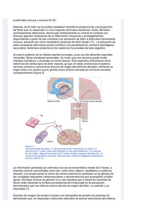 a estímulos inocuos y nocivos (8-10) .
Además, en el colon se ha podido establecer también la existencia de una proporción
de fibras que no responden ni a los mayores estímulos mecánicos. Estos, llamados
nocirreceptores silenciosos, disminuyen drásticamente su umbral en contacto con
diversos agentes mediadores de la inflamación (citoquinas y prostaglandinas),
respondiendo a partir de ese momento con sensación de dolor a estímulos previamente
inocuos, actuando así como verdaderos sensores de daño tisular (11) . La activación de
estos receptores silenciosos podría contribuir a la sensibilización central e hiperalgesia
secundaria, fenómeno presente en los trastornos funcionales del tubo digestivo.
Al cuerno posterior de la médula espinal convergen, junto con los aferentes espinales
viscerales, fibras somáticas sensoriales, de modo que una neurona puede recibir
impulsos somáticos y viscerales al mismo tiempo. Esto explicaría el fenómeno de la
referencia de ciertos tipos de dolor visceral, ya que en estas condiciones el sistema
nervioso central no reconocería el punto de origen del estímulo del dolor, refiriendo su
origen tanto a la víscera que lo genera como al área inervada por el nervio somático
correspondiente (Figura 3).
Figura 3.
Vía ascendente del dolor. 1) Neurona sensorial visceral de 1er orden. 2)
neurona de 2° orden (sólo está dibujado el haz espinotalámico). 3) neurona
de 3er orden. Algunas neuronas de 2° orden reciben impulsos también de: 4)
neurona sensomática sensorial, base del dolor referido (adaptado de Basbaum
AI et al. Ref N° 7).
La información generada por estímulos nocivos es transmitida a través de 5 haces, a
diversos centros subcorticales como son, entre otros, tálamo, hipotálamo y sustancia
reticular. Las proyecciones al centro de control autonómico participan en la génesis de
las complejas respuestas cardiovasculares y neuroendocrina que acompañan al dolor
agudo. De estos centros se generan a su vez impulsos que a través de neuronas de
tercer orden alcanzan la corteza somatosensorial involucrada en la percepción
discriminativa que nos informa acerca del sitio de origen del dolor, su carácter y su
intensidad (7) .
Estudios de imagen de cerebro humano con tomografía de emisión de protones ha
demostrado que, en respuesta a estímulos dolorosos se activan estructuras del sistema
 