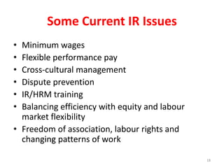 Some Current IR Issues
• Minimum wages
• Flexible performance pay
• Cross-cultural management
• Dispute prevention
• IR/HRM training
• Balancing efficiency with equity and labour
market flexibility
• Freedom of association, labour rights and
changing patterns of work
18
 