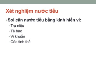 Xét nghiệm nước tiểu
• Soi cặn nước tiểu bằng kính hiển vi:
• Trụ niệu
• Tế bào
• Vi khuẩn
• Các tinh thể
 