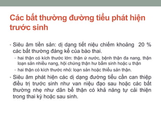 Các bất thường đường tiểu phát hiện
trước sinh
• Siêu âm tiền sản: dị dạng tiết niệu chiếm khoảng 20 %
các bất thường đáng kể của bào thai.
• hai thận có kích thước lớn: thận ứ nước, bệnh thận đa nang, thận
loạn sản nhiều nang, hội chứng thận hư bẩm sinh hoặc u thận
• hai thận có kích thước nhỏ: loạn sản hoặc thiểu sản thận.
• Siêu âm phát hiện các dị dạng đường tiểu cần can thiệp
điều trị trước sinh như van niệu đạo sau hoặc các bất
thường nhẹ như dãn bể thận có khả năng tự cải thiện
trong thai kỳ hoặc sau sinh.
 