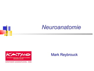 Neuroanatomie 
Mark Reybrouck 
 
