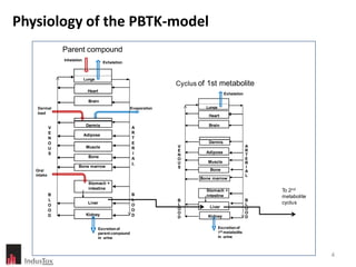 Physiology of the PBTK-model
                Parent compound
                Inhalation
                                       Exhalation



                             Lungs
                                                                     Cyclus of 1st metabolite
                              Heart
                                                                                         Exhalation
                               Brain
    Dermal                                             Evaporation            Lungs
    load
                                                                               Heart

                              Dermis                                           Brain
            V                                          A
            E                                          R
                             Adipose
            N                                          T
            O                                          E                       Dermis
                              Muscle                   R             V                                 A
            U                                                                                          R
                                                                     E        Adipose
            S                                          I             N                                 T
                               Bone                    A                                               E
                                                                     O
                                                       L             U         Muscle                  R
                        Bone marrow                                  S                                 I
   Oral                                                                         Bone                   A
   intake                                                                                              L
                                                                            Bone marrow
                               Stomach +
                               intestine                                      Stomach +                    To 2nd
            B                                          B                      intestine                    metabolite
            L                                          L             B                                 B
            O
                               Liver                   O             L                                 L   cyclus
                                                                     O         Liver                   O
            O                                          O
                              Kidney                                 O                                 O
            D                                          D             D         Kidney                  D

                                     Excretion of                                     Excretion of
                                     parent compound                                  1st metabolite
                                     in urine                                         in urine



                                                                                                                        4
 