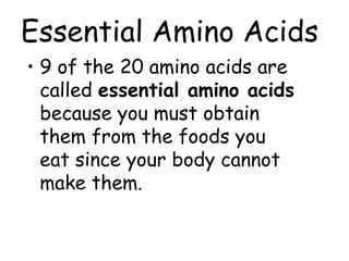Essential Amino Acids
• 9 of the 20 amino acids are
called essential amino acids
because you must obtain
them from the foods you
eat since your body cannot
make them.
 