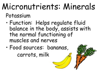Micronutrients: Minerals
Potassium
• Function: Helps regulate fluid
balance in the body, assists with
the normal functioning of
muscles and nerves
• Food sources: bananas,
carrots, milk
 
