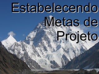 Estabelecendo Metas de Projeto 