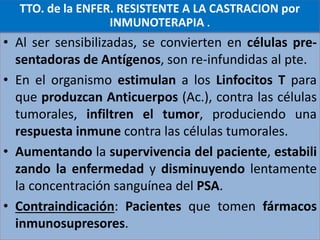 TTO. de la ENFER. RESISTENTE A LA CASTRACION
• Al ser sensibilizadas, se convierten en células pre-
sentadoras de Antígenos, son re-infundidas al pte.
• En el organismo estimulan a los Linfocitos T para
que produzcan Anticuerpos (Ac.), contra las células
tumorales, infiltren el tumor, produciendo una
respuesta inmune contra las células tumorales.
• Aumentando la supervivencia del paciente, estabili
zando la enfermedad y disminuyendo lentamente
la concentración sanguínea del PSA.
• Contraindicación: Pacientes que tomen fármacos
inmunosupresores.
TTO. de la ENFER. RESISTENTE A LA CASTRACION por
INMUNOTERAPIA .
 