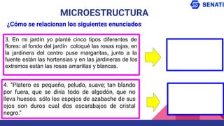 3. En mi jardín yo planté cinco tipos diferentes de
flores: al fondo del jardín coloqué las rosas rojas, en
la jardinera del centro puse margaritas, junto a la
fuente están las hortensias y en las jardineras de los
extremos están las rosas amarillas y blancas.
MICROESTRUCTURA
¿Cómo se relacionan los siguientes enunciados
4. “Platero es pequeño, peludo, suave; tan blando
por fuera, que se diría todo de algodón, que no
lleva huesos. sólo los espejos de azabache de sus
ojos son duros cual dos escarabajos de cristal
negro.”
 
