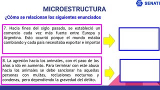7. Hacia ﬁnes del siglo pasado, se estableció un
comercio cada vez más fuerte entre Europa y
Argentina. Esto ocurrió porque el mundo estaba
cambiando y cada país necesitaba exportar e importar
MICROESTRUCTURA
¿Cómo se relacionan los siguientes enunciados
8. La agresión hacia los animales, con el paso de los
años a ido en aumento. Para terminar con este abuso
hacia los animales se debe sancionar ha aquellas
personas con multas, reclusiones nocturnas y
condenas, pero dependiendo la gravedad del delito.
 
