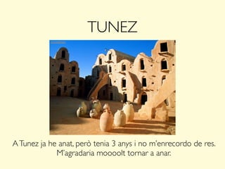 TUNEZ
ATunez ja he anat, però tenia 3 anys i no m’enrecordo de res.
M’agradaria moooolt tornar a anar.
 