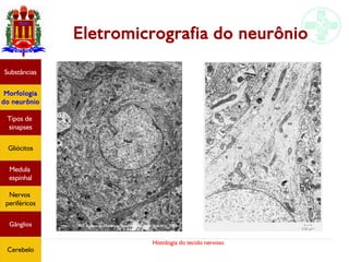 Histologia do tecido nervoso
Eletromicrografia do neurônio
Substâncias
Morfologia
do neurônio
Tipos de
sinapses
Gliócitos
Medula
espinhal
Nervos
periféricos
Gânglios
Cerebelo
 