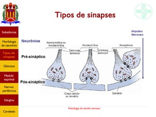 Histologia do tecido nervoso
Tipos de sinapses
Substâncias
Morfologia
do neurônio
Tipos de
sinapses
Gliócitos
Medula
espinhal
Nervos
periféricos
Gânglios
Cerebelo
 
