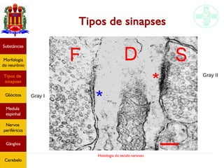 Histologia do tecido nervoso
Tipos de sinapses
Gray II
Gray I
Substâncias
Morfologia
do neurônio
Tipos de
sinapses
Gliócitos
Medula
espinhal
Nervos
periféricos
Gânglios
Cerebelo
 