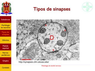 Histologia do tecido nervoso
Tipos de sinapses
Substâncias
Morfologia
do neurônio
Tipos de
sinapses
Gliócitos
Medula
espinhal
Nervos
periféricos
Gânglios
Cerebelo
http://synapses.clm.utexas.edu/
 
