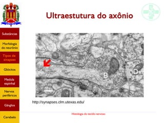 Histologia do tecido nervoso
Ultraestutura do axônio
Substâncias
Morfologia
do neurônio
Tipos de
sinapses
Gliócitos
Medula
espinhal
Nervos
periféricos
Gânglios
Cerebelo
http://synapses.clm.utexas.edu/
 