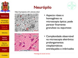Histologia do tecido nervoso
Neurópilo
Substâncias
Morfologia
do neurônio
Tipos de
sinapses
Gliócitos
Medula
espinhal
Nervos
periféricos
Gânglios
Cerebelo
http://synapses.clm.utexas.edu/
●
Aspecto róseo e
homogêneo na
microscopia óptica; pode
parecer finamente
granuloso ou espumoso
●
Complexidade observável
na microscopia eletrônica:
prolongamentos
citoplasmáticos
entrelaçados e imbricados
 