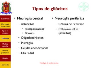 Histologia do tecido nervoso
Tipos de gliócitos
Substâncias
Morfologia
do neurônio
Tipos de
sinapses
Gliócitos
Medula
espinhal
Nervos
periféricos
Gânglios
Cerebelo
● Neuroglia central
– Astrócitos
●
Protoplasmáticos
● Fibrosos
– Oligodendrócitos
– Micróglia
– Células ependimárias
– Glia radial
● Neuroglia periférica
– Células de Schwann
– Células-satélite
(anfícitos)
 