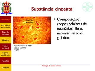 Histologia do tecido nervoso
Substância cinzenta
Substâncias
Morfologia
do neurônio
Tipos de
sinapses
Gliócitos
Medula
espinhal
Nervos
periféricos
Gânglios
Cerebelo
Medula espinhal 400x
Medula Espinhal
(Cajal)
●
Composição:
corpos celulares de
neurônios, fibras
não-mielinizadas,
gliócitos
 